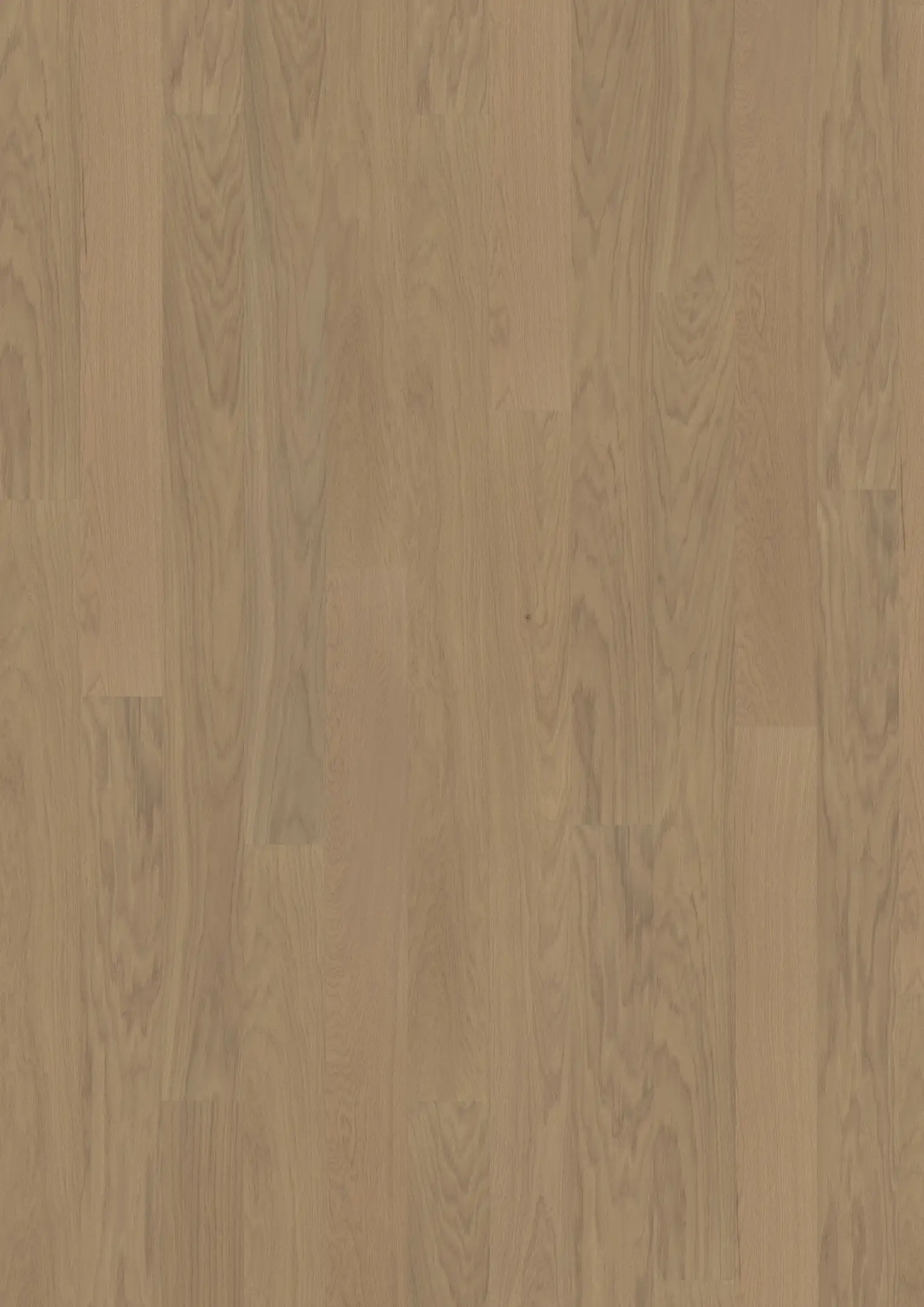 BUTTERSCOTCH WIDE Floors Kährs