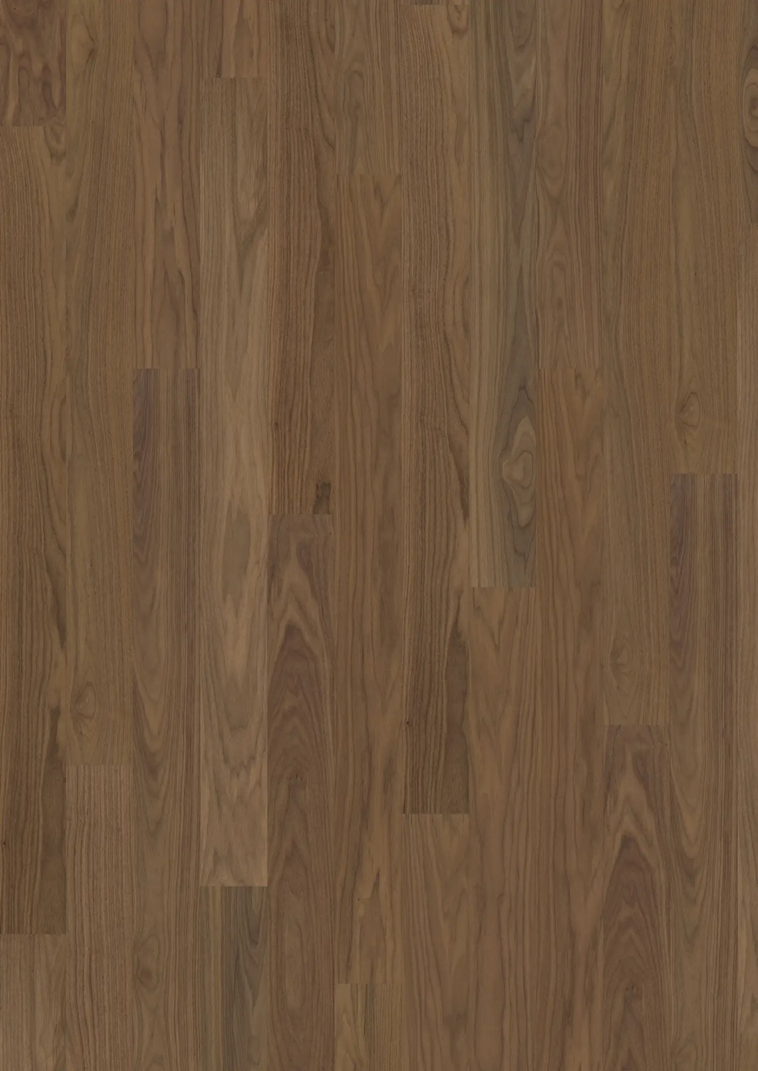 PURE WALNUT WIDE Floors Kährs