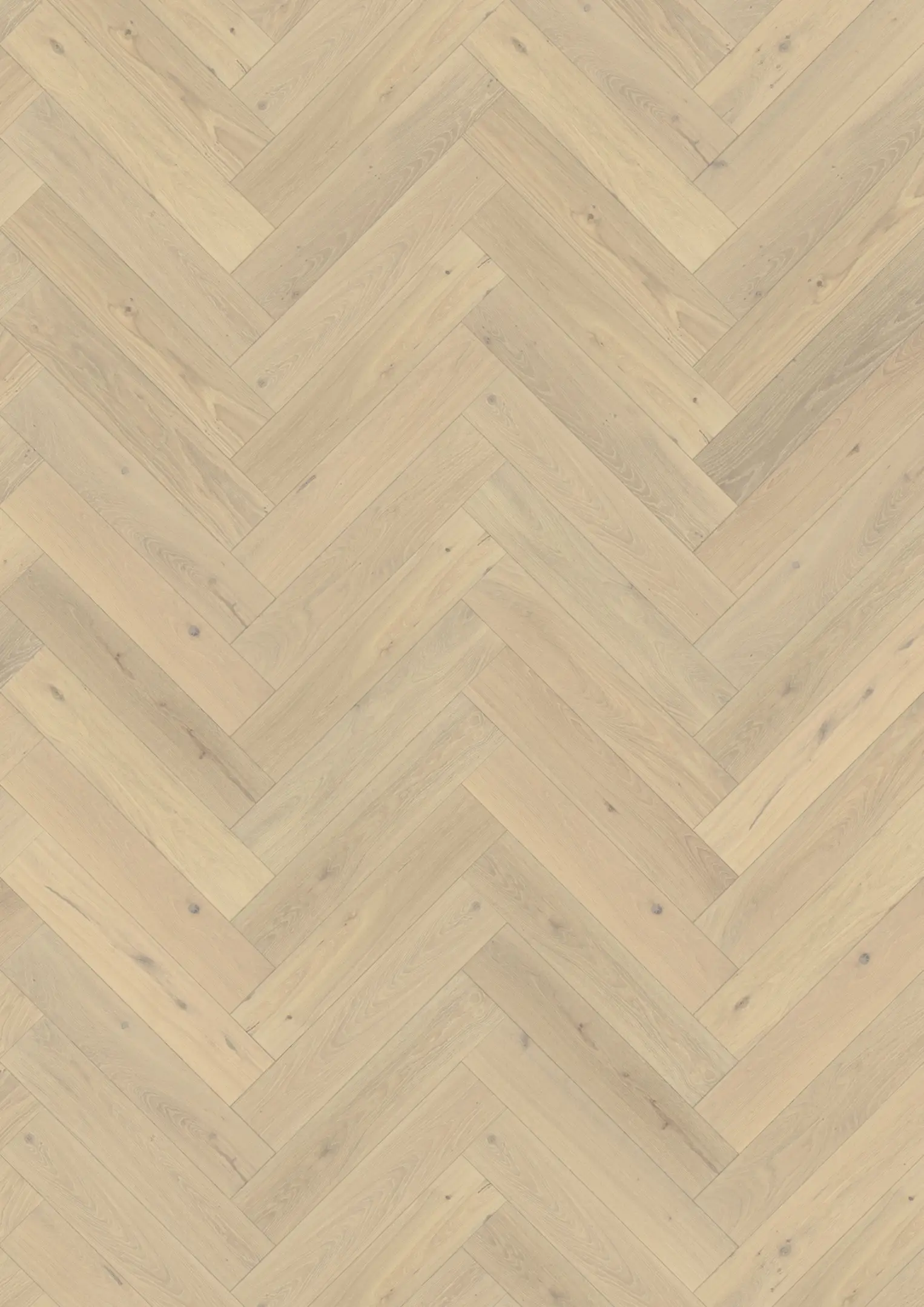OAK HERRINGBONE CD CRÈME WHITE Floors Kährs