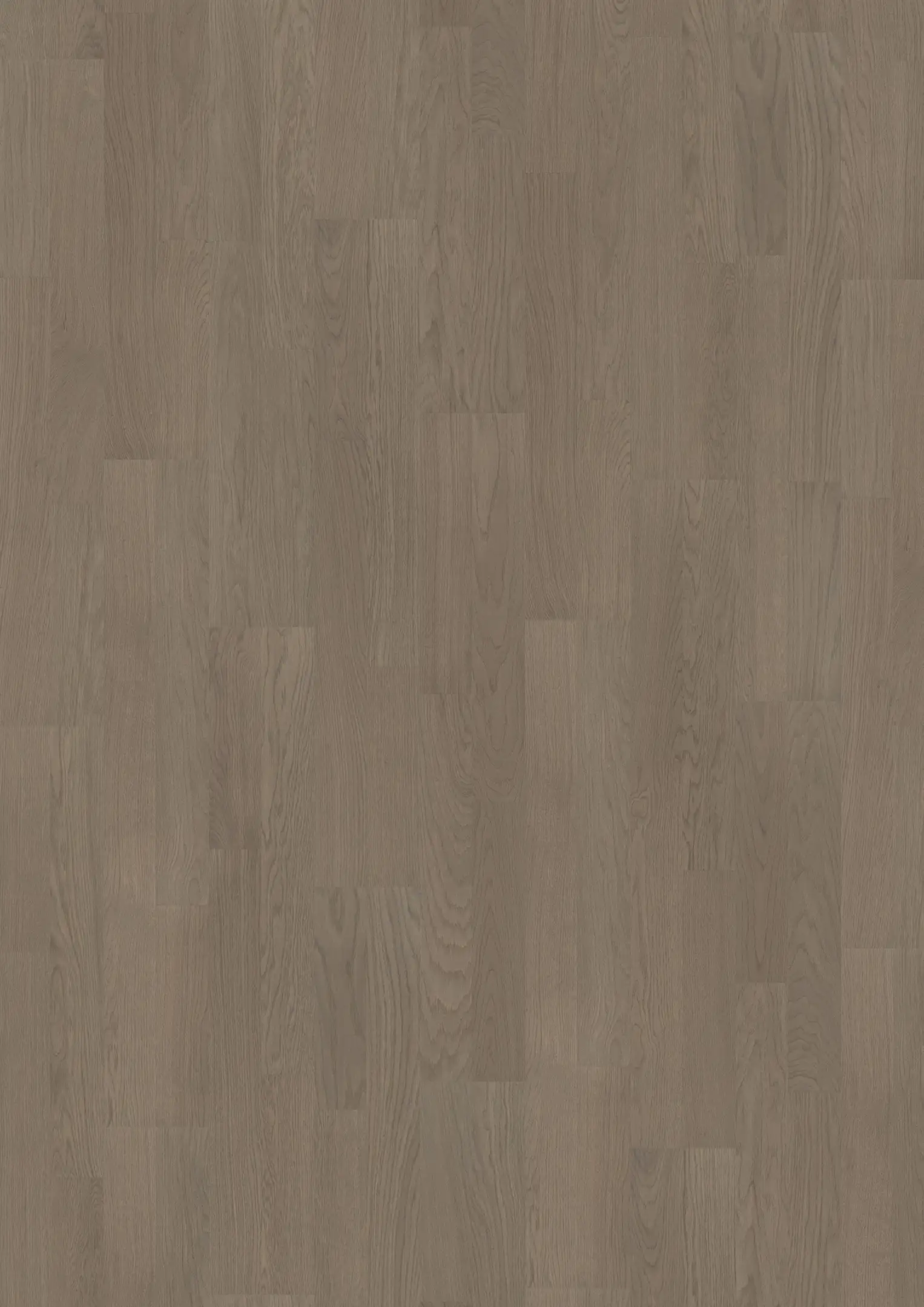 EARL GREY 2-STRIP Floors Kährs