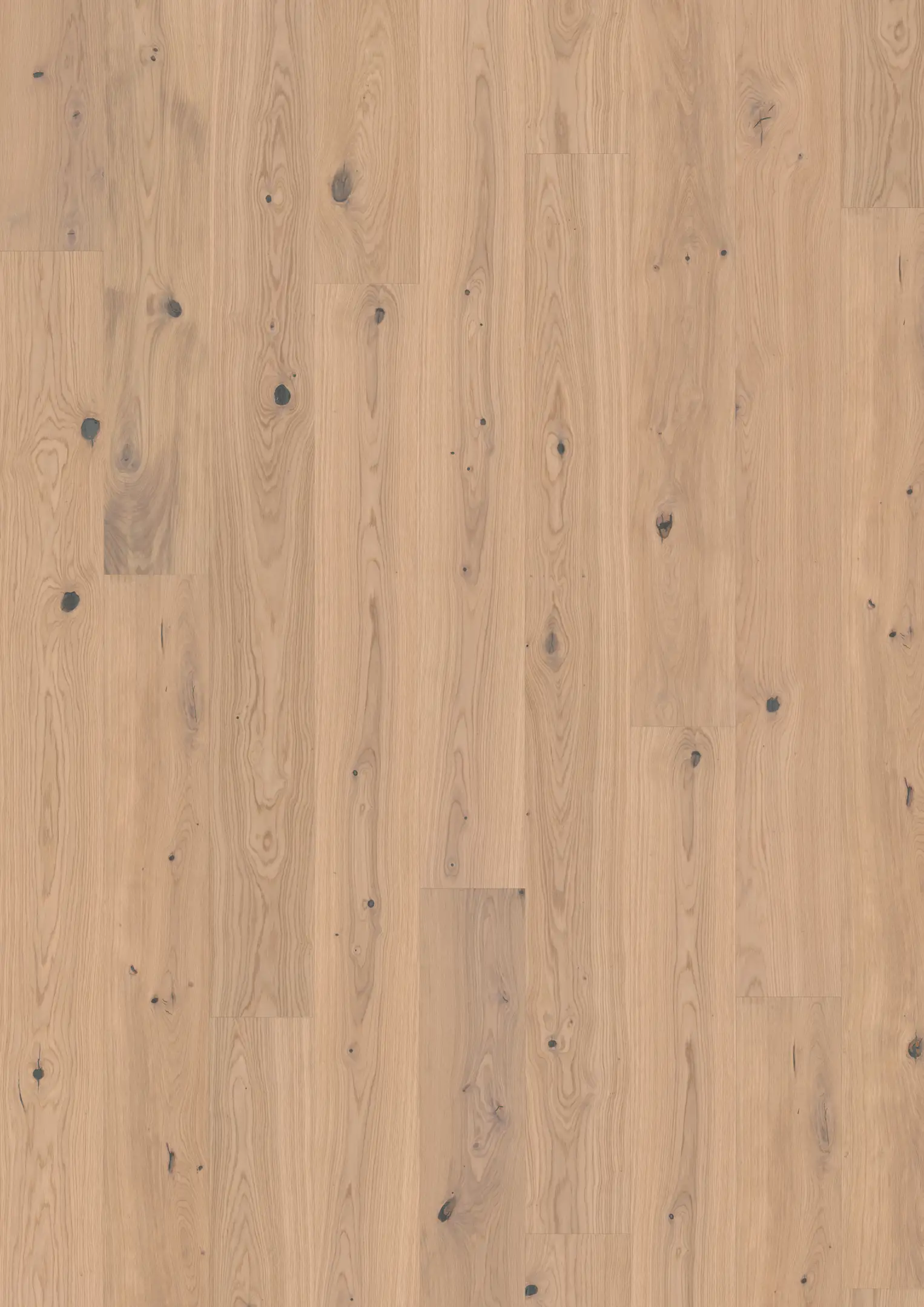 OAK TAHINI PLANK Floors Kährs