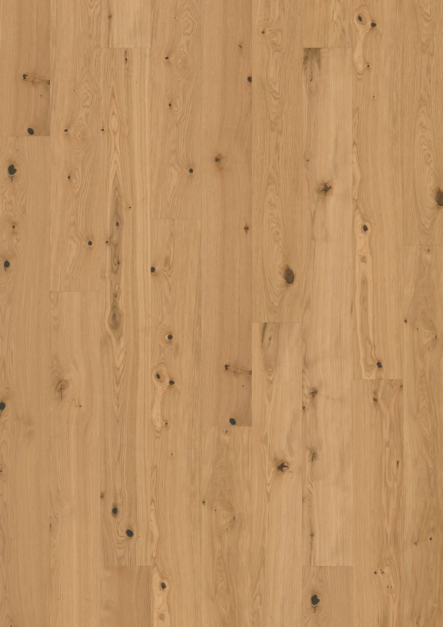 OAK CARDAMOM PLANK Floors Kährs