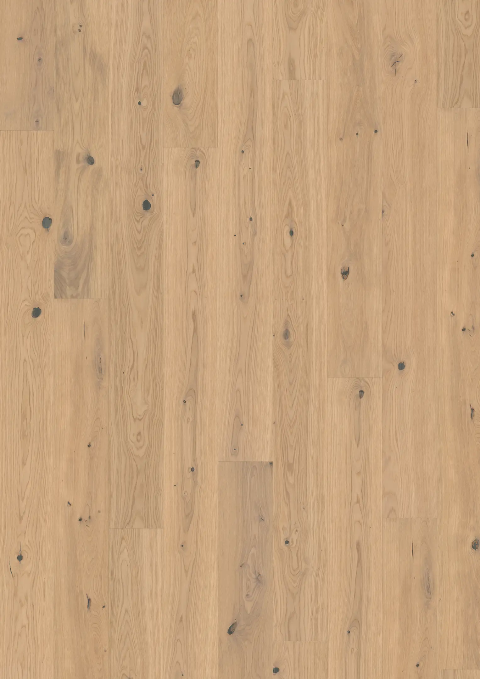 OAK TURMERIC PLANK Floors Kährs