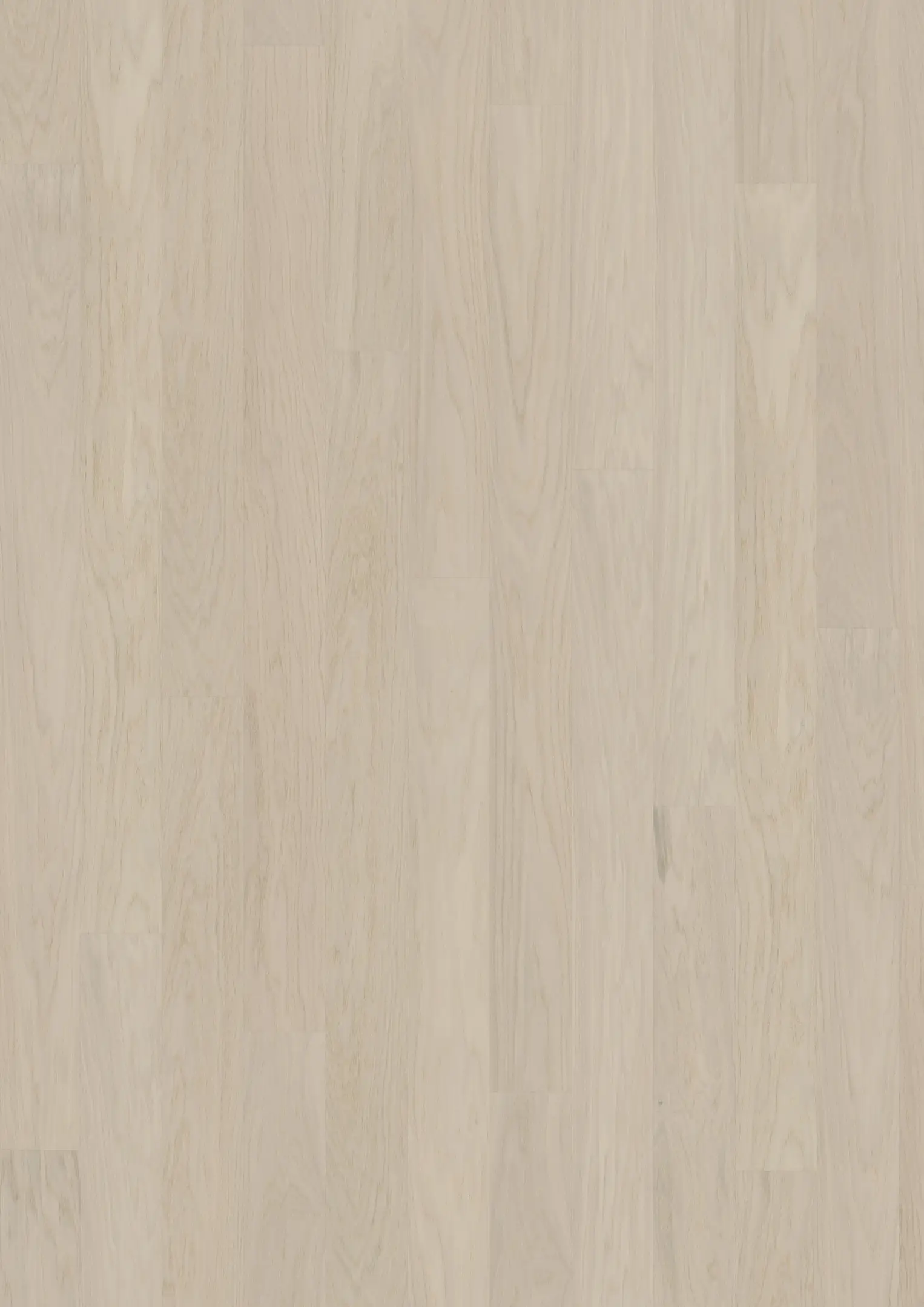 COCONUT CREAM WIDE Floors Kährs