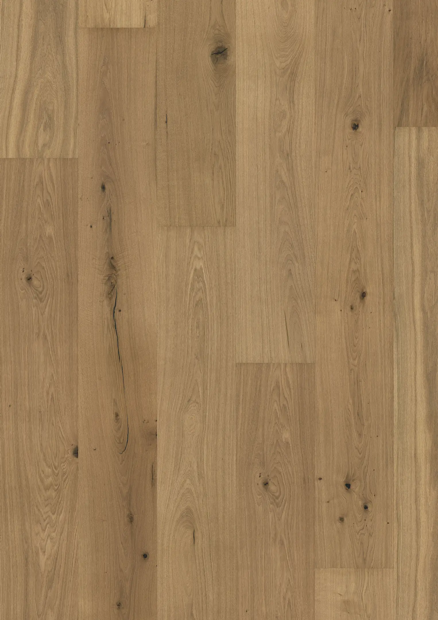 OAK SCHÖNBRUNN Floors Kährs